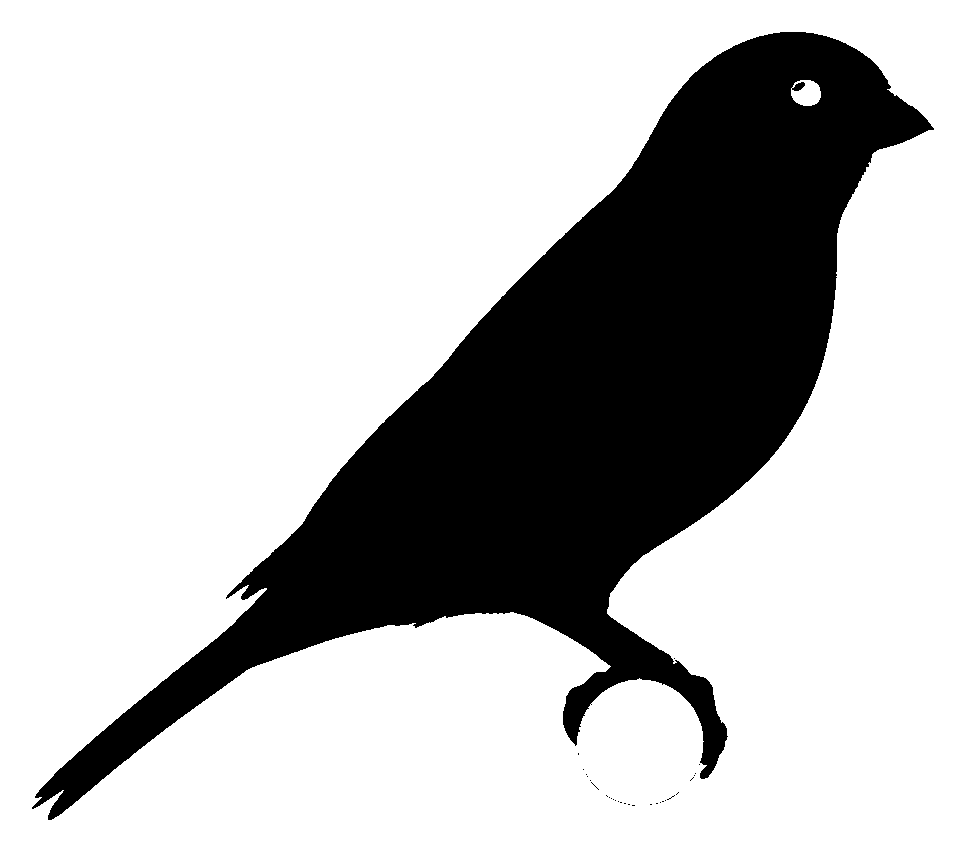 Bird isolated as one color